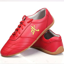 Load image into Gallery viewer, kids Chinese Martial arts wushu and Taichi shoes for Men and Women