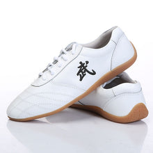Load image into Gallery viewer, kids Chinese Martial arts wushu and Taichi shoes for Men and Women