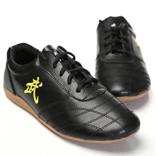 Load image into Gallery viewer, kids Chinese Martial arts wushu and Taichi shoes for Men and Women