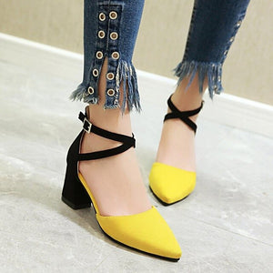 2020 Spring Brand Women Shoes Pumps Thick Heel Pointed Toe